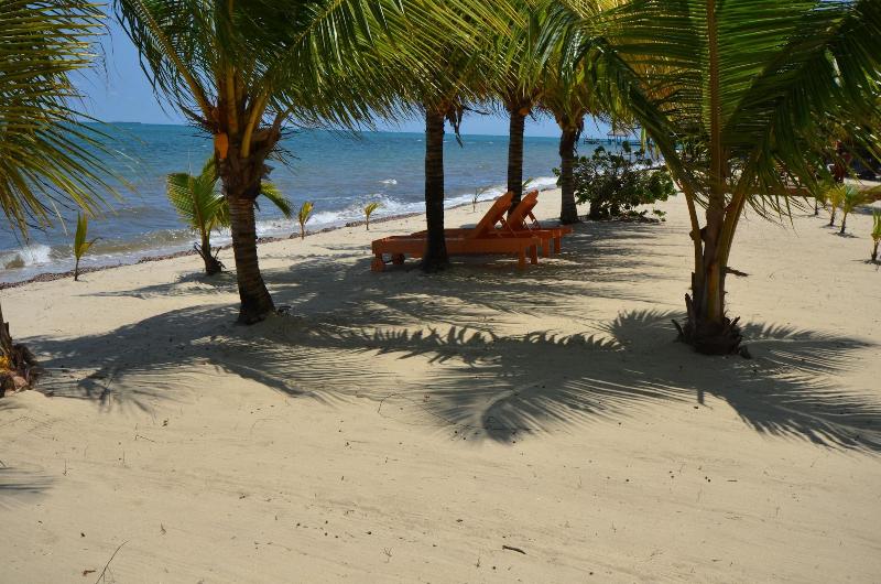 בית מלון כפרי Mariposa Belize Beach Resort