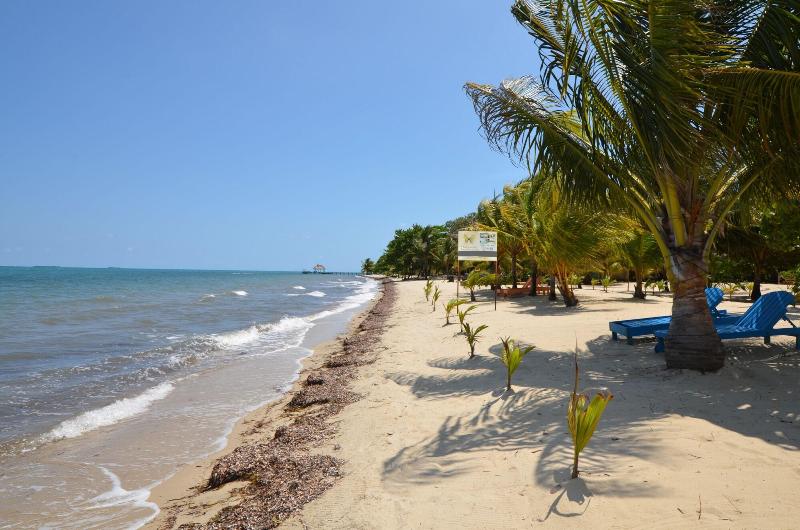 בית מלון כפרי Mariposa Belize Beach Resort