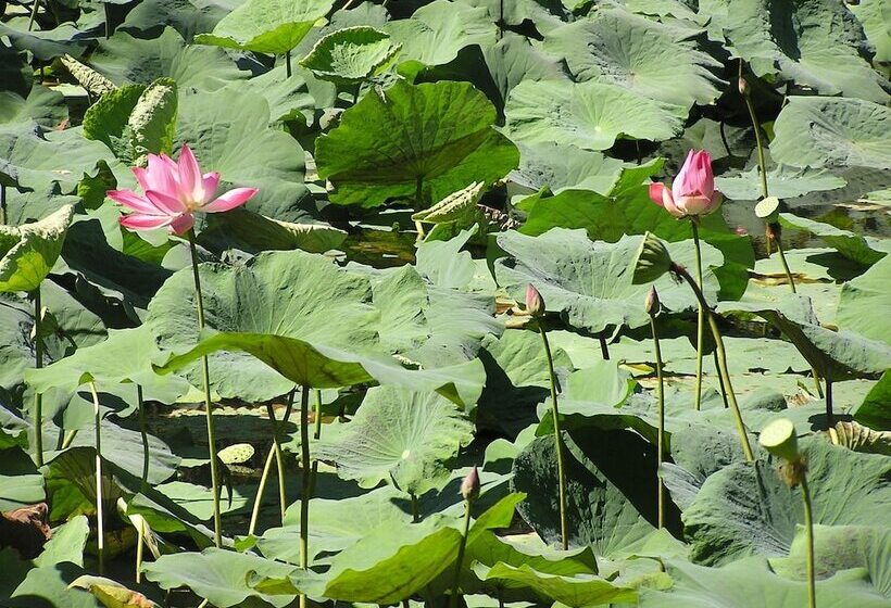 בית מלון כפרי North Borneo Biostation Resort
