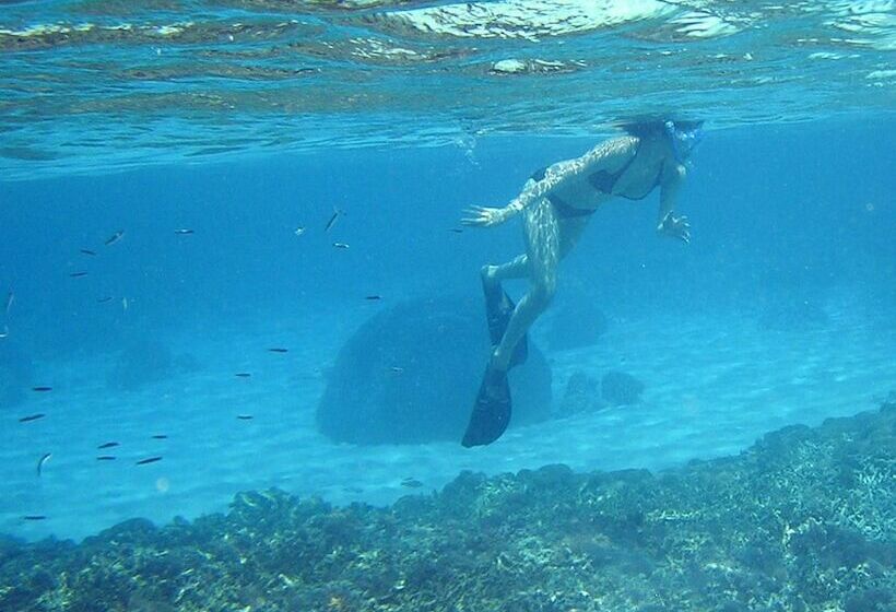 هتل North Borneo Biostation Resort