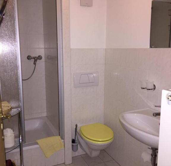 בית מלון כפרי Pension Immergrün