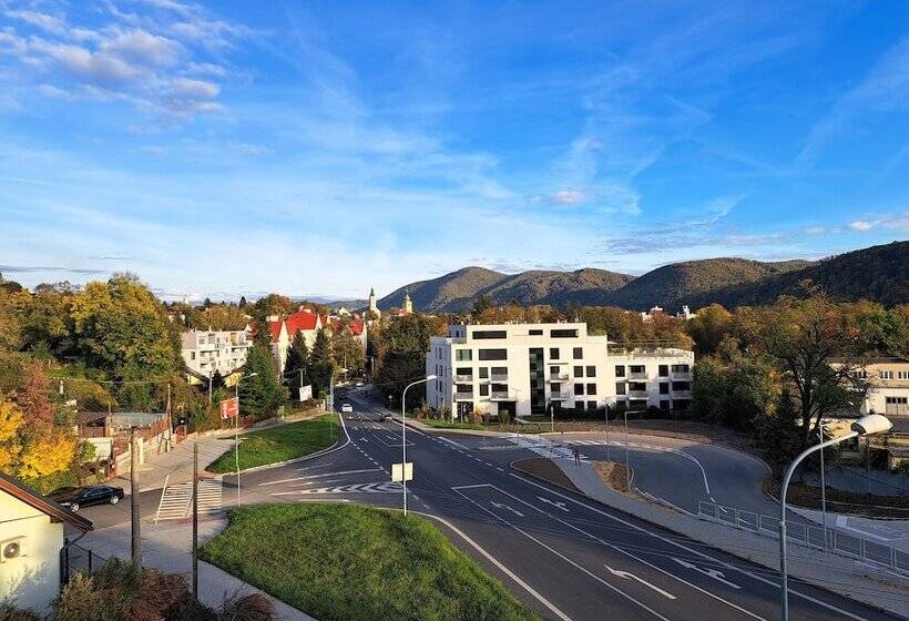 호텔 Alcorso Pension