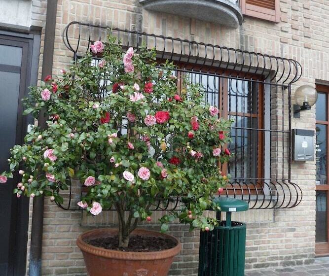 فندق Ristorante Vapore