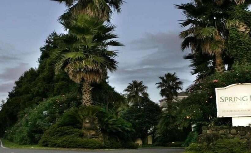 هتل Springhill Resort