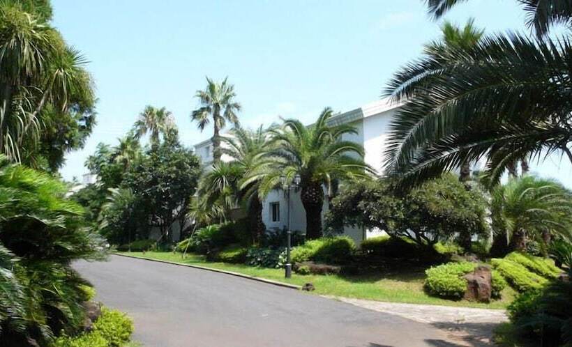 هتل Springhill Resort