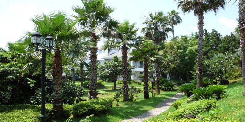 هتل Springhill Resort