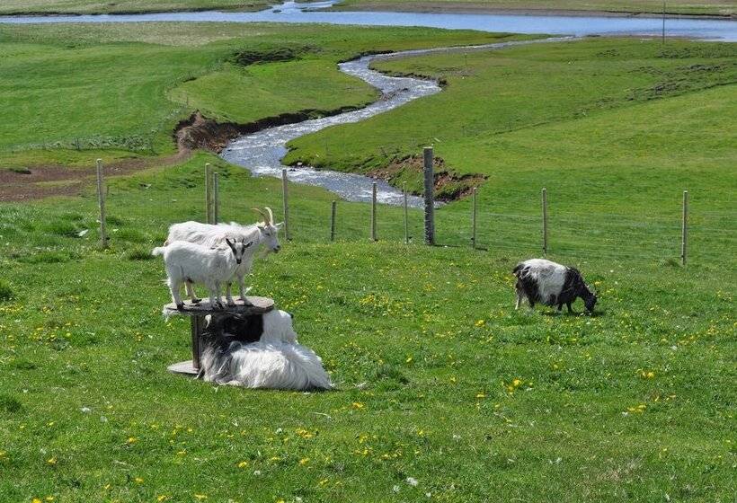هتل Stóra ásgeirsá Guesthouse