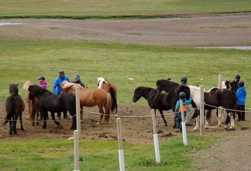 هتل Stóra ásgeirsá Guesthouse