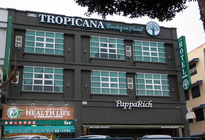 בית מלון כפרי Tropicana Boutique