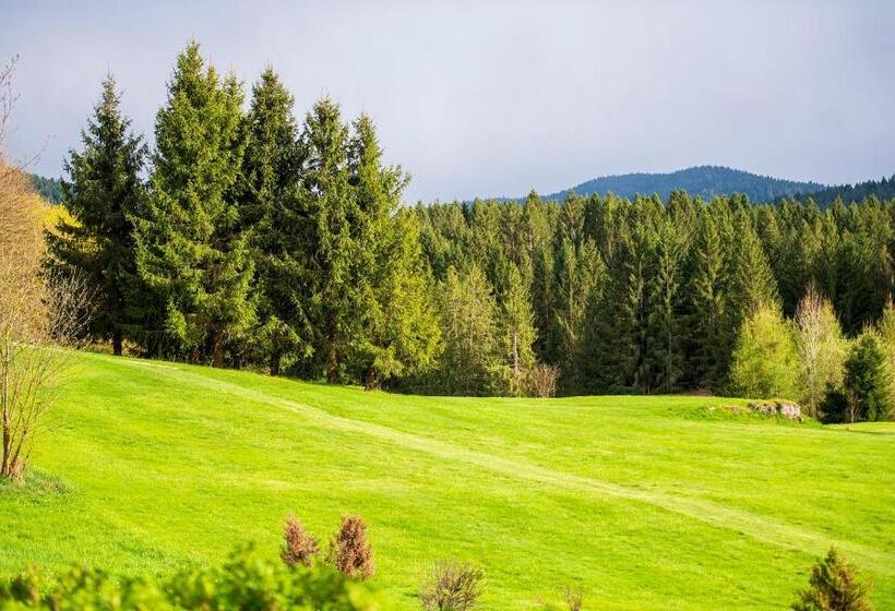 ホテル Villa Bonomo Charme