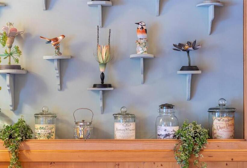 ホテル Villa Bonomo Charme