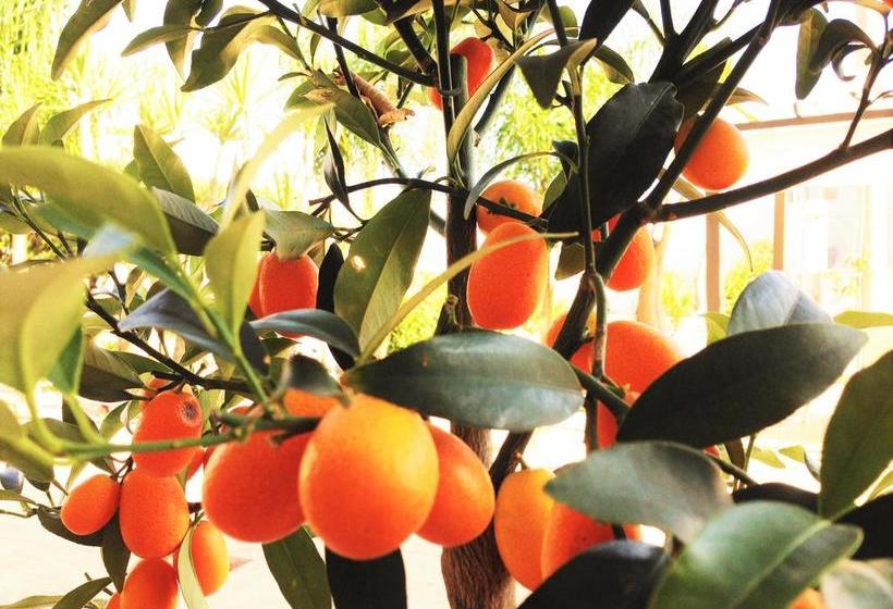 בית מלון כפרי Villa Leuzzi