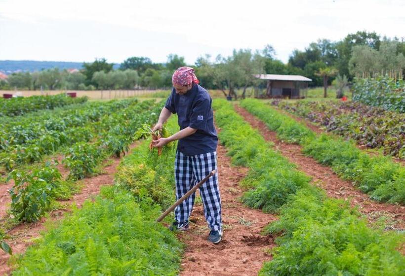 호텔 Villa Margaret