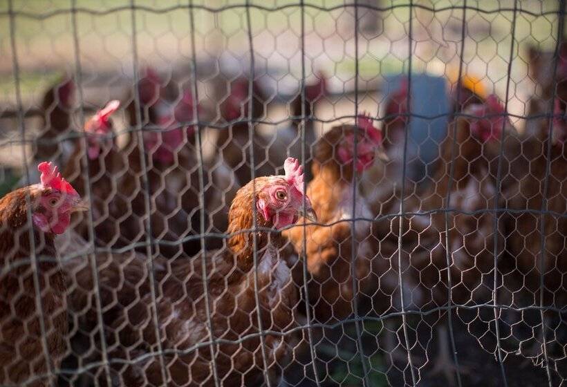 호텔 Villa Margaret