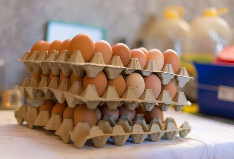 호텔 Villa Margaret