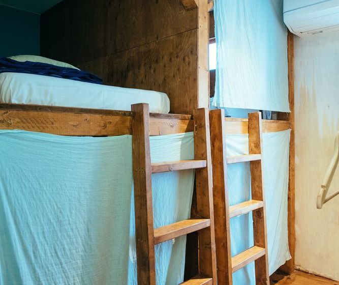 Igloo Dorm & Breakfast  Hostel