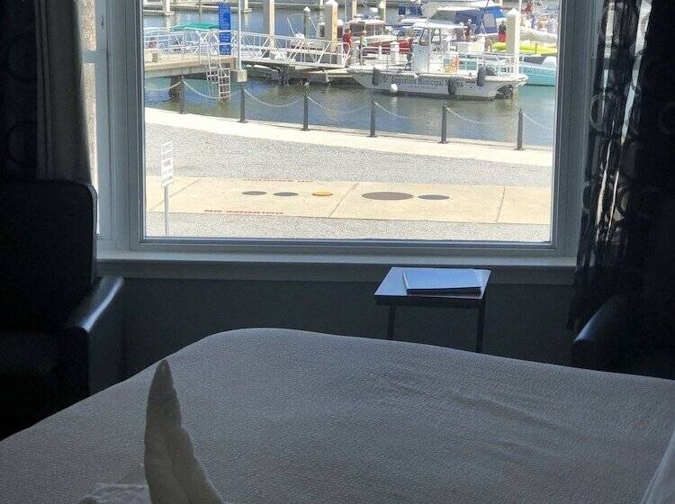 فندق على الطريق Historic Waterfront Marion Motor Lodge In Downtown St Augustine