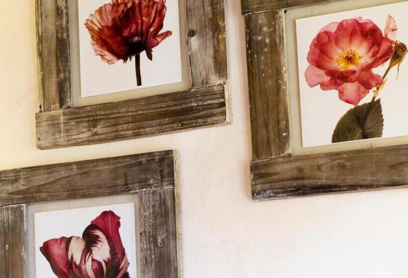 Oasi Galbusera Bianca