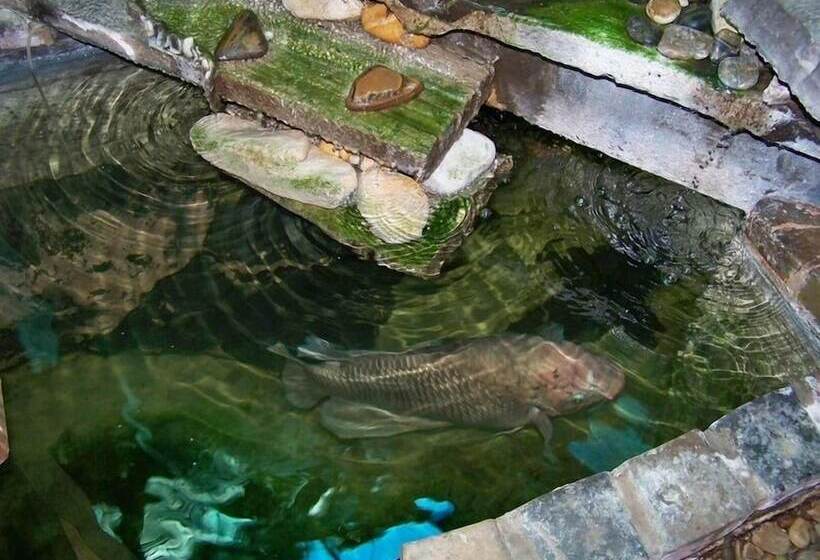 펜션 A La Martha S Airport Guest House