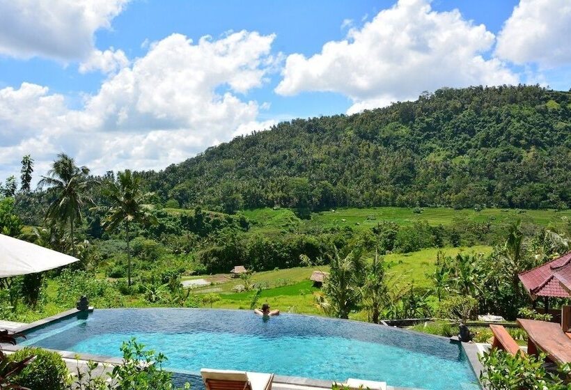 פנסיון Arta Nadi Villa