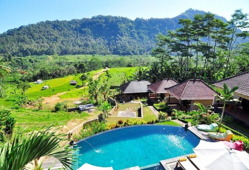 פנסיון Arta Nadi Villa