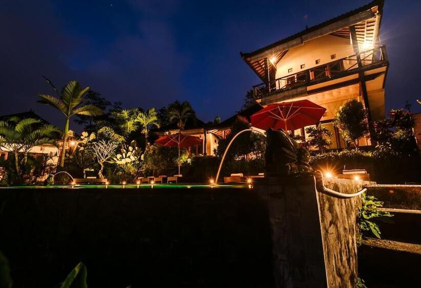 פנסיון Arta Nadi Villa