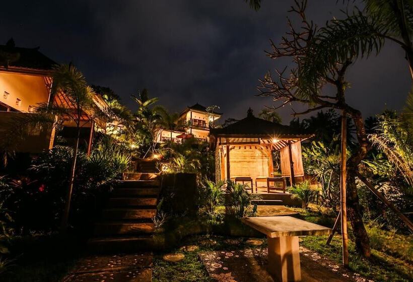 פנסיון Arta Nadi Villa