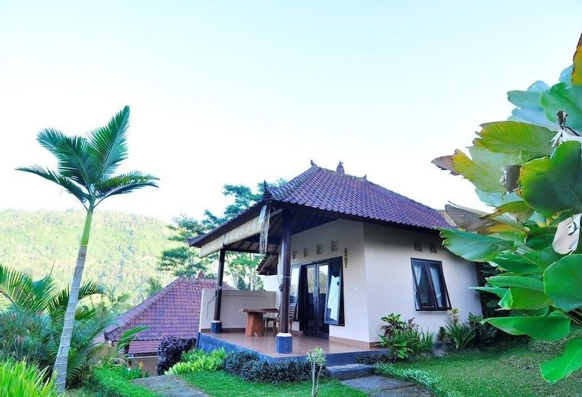 פנסיון Arta Nadi Villa