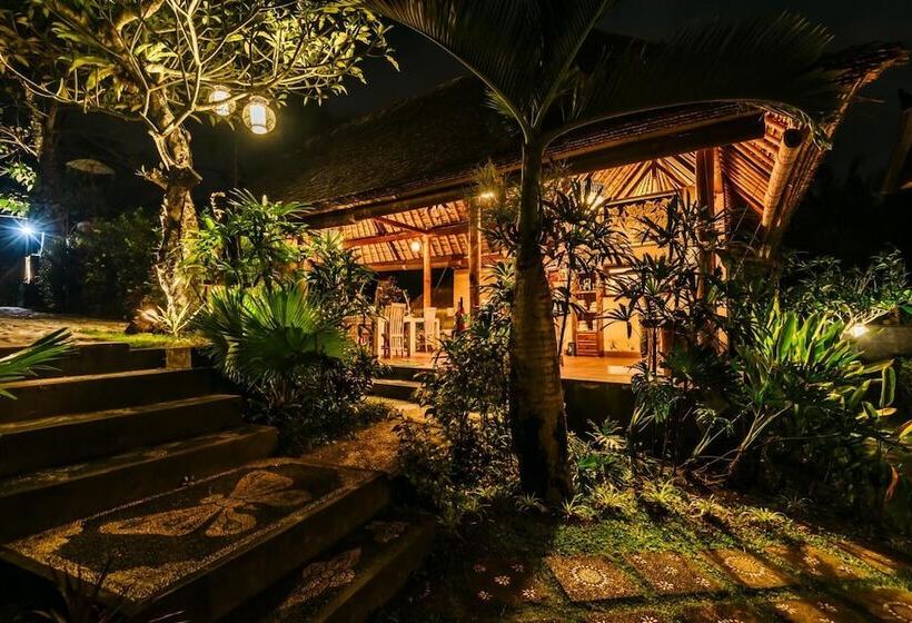 פנסיון Arta Nadi Villa