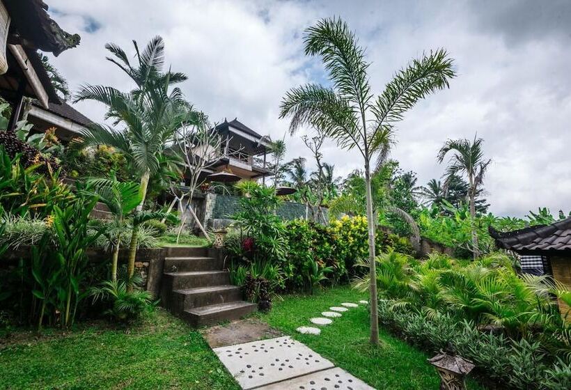 פנסיון Arta Nadi Villa