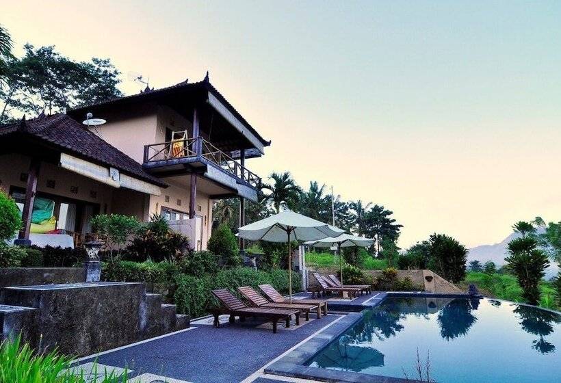 פנסיון Arta Nadi Villa