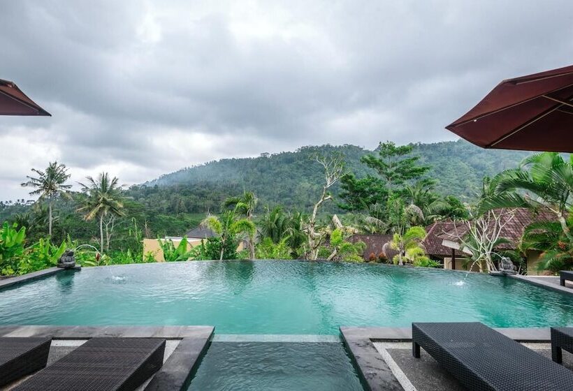 פנסיון Arta Nadi Villa