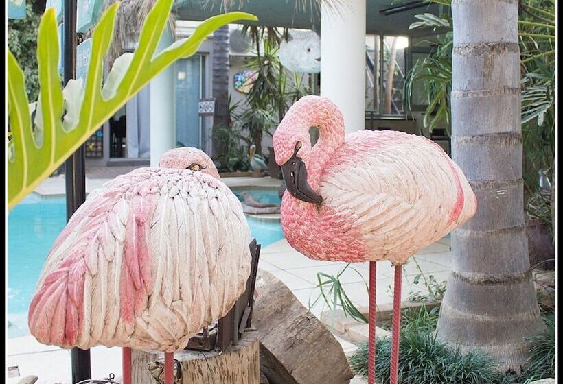 פנסיון Club Cocomo