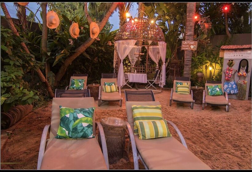 פנסיון Club Cocomo