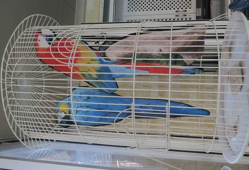 פנסיון Club Cocomo