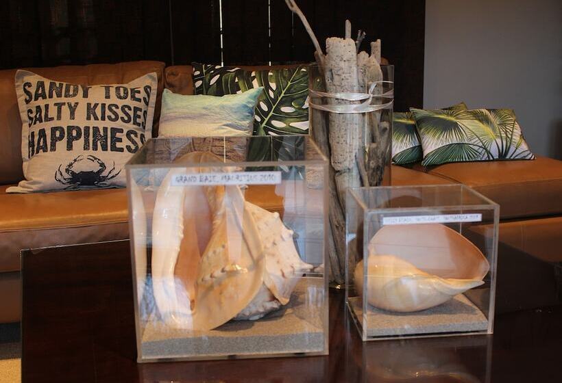 פנסיון Club Cocomo