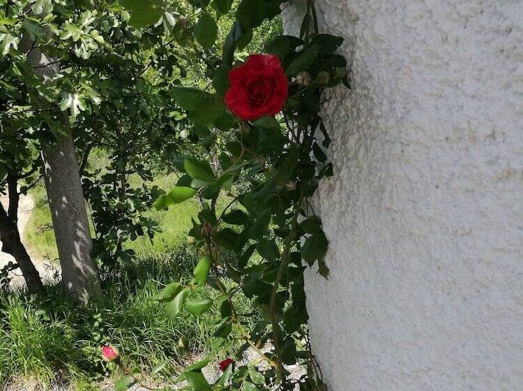 Пансион Dal Rosso