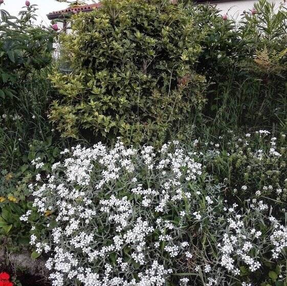 ペンション Dal Rosso