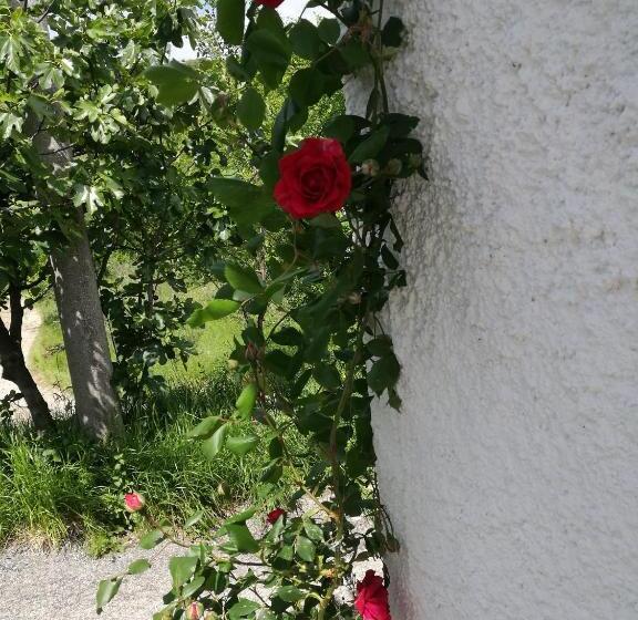 ペンション Dal Rosso