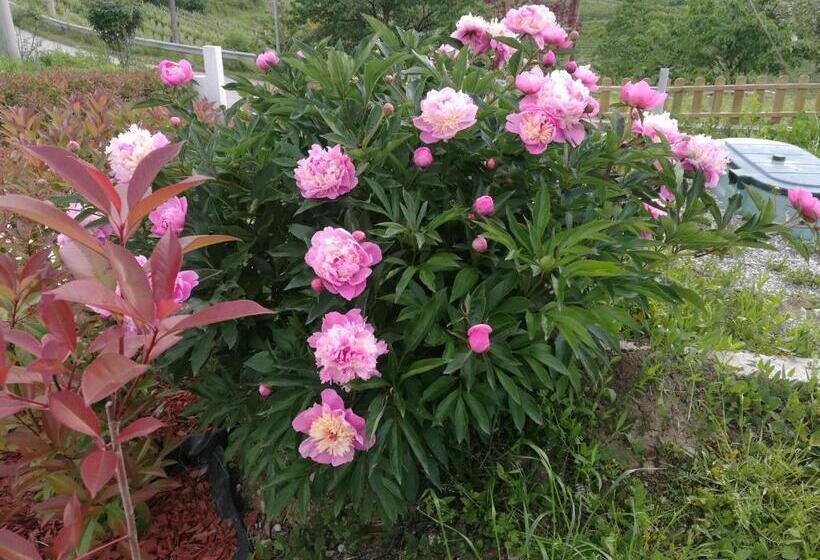 ペンション Dal Rosso