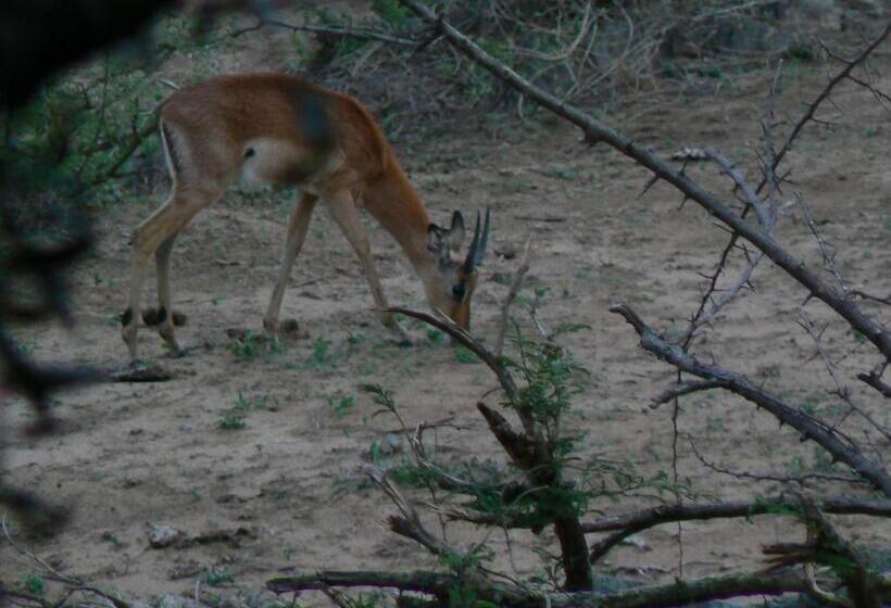 펜션 Hennie's Rest