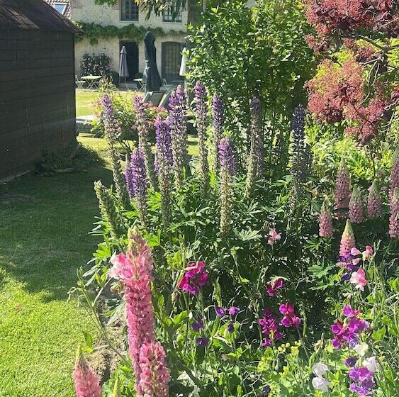 Пансион La Maison D Aline   Honfleur   Maison D Hôte De Charme A La Normande