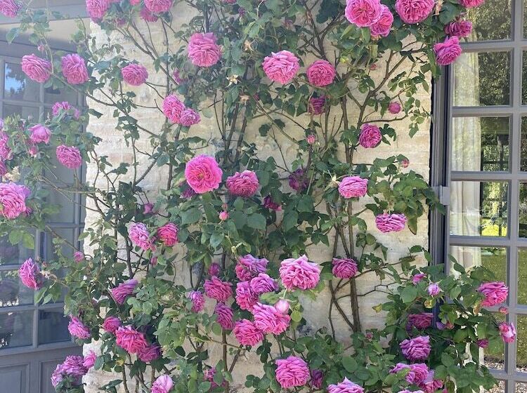 Пансион La Maison D Aline   Honfleur   Maison D Hôte De Charme A La Normande