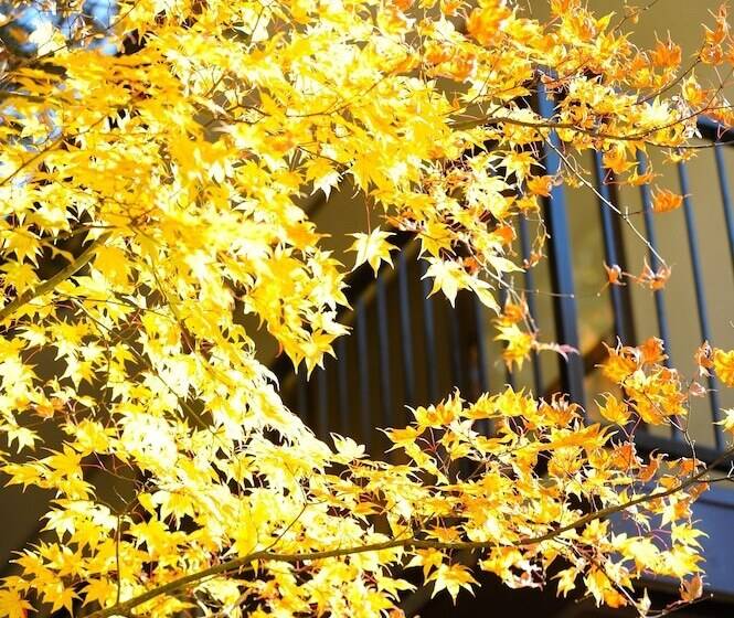 پانسیون Ryokan Ikoisanso