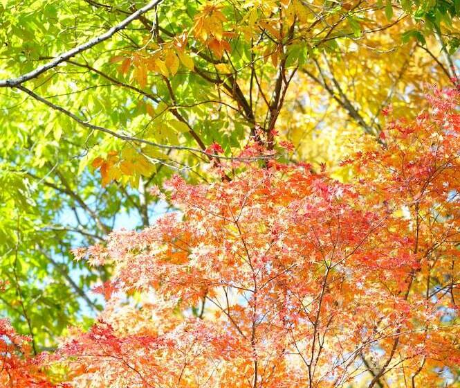 پانسیون Ryokan Ikoisanso