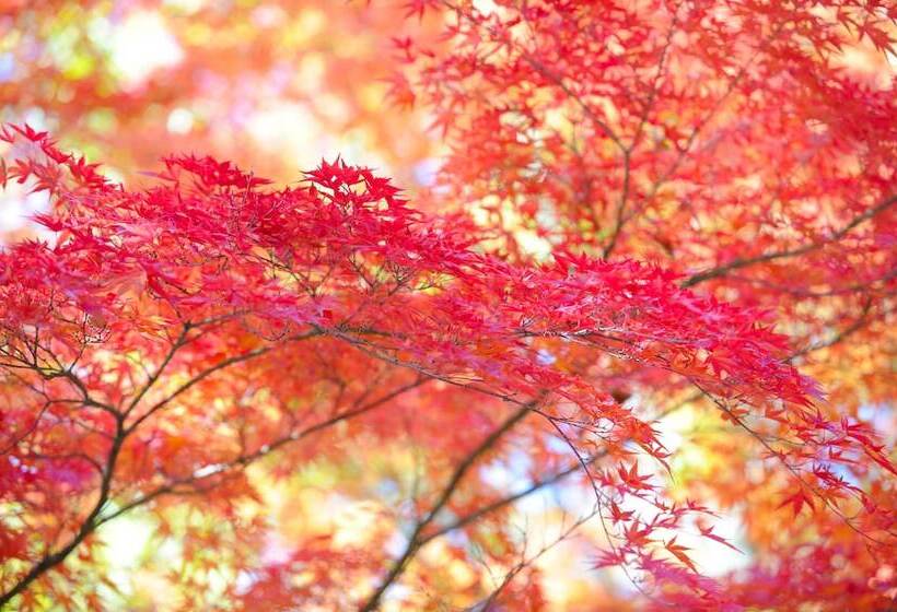 پانسیون Ryokan Ikoisanso