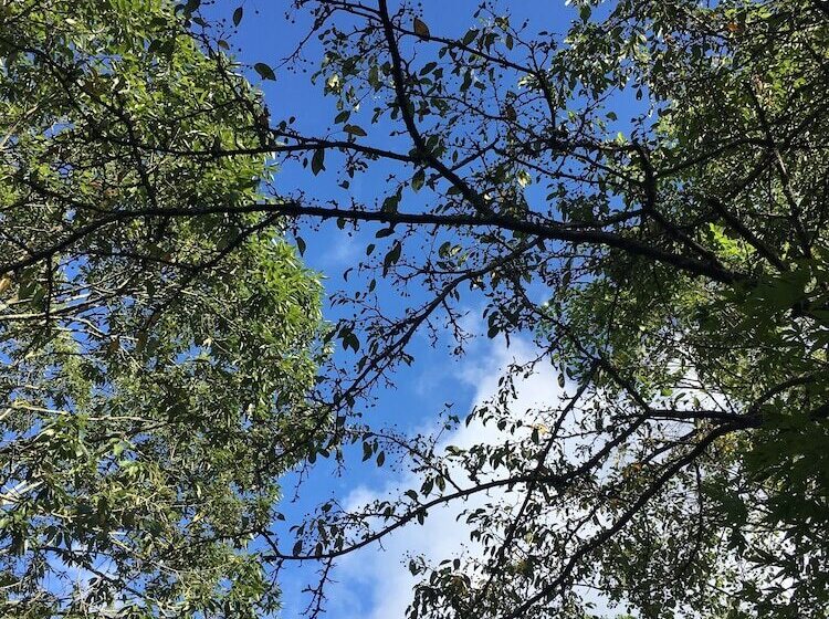 پانسیون Ryokan Ikoisanso