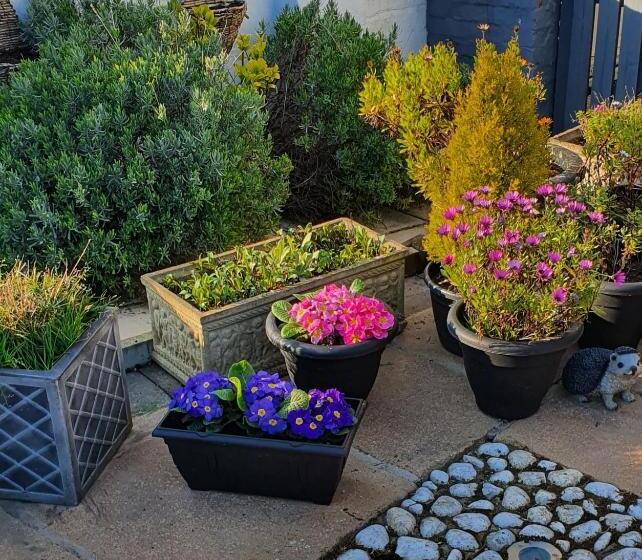 ペンション The Aldor