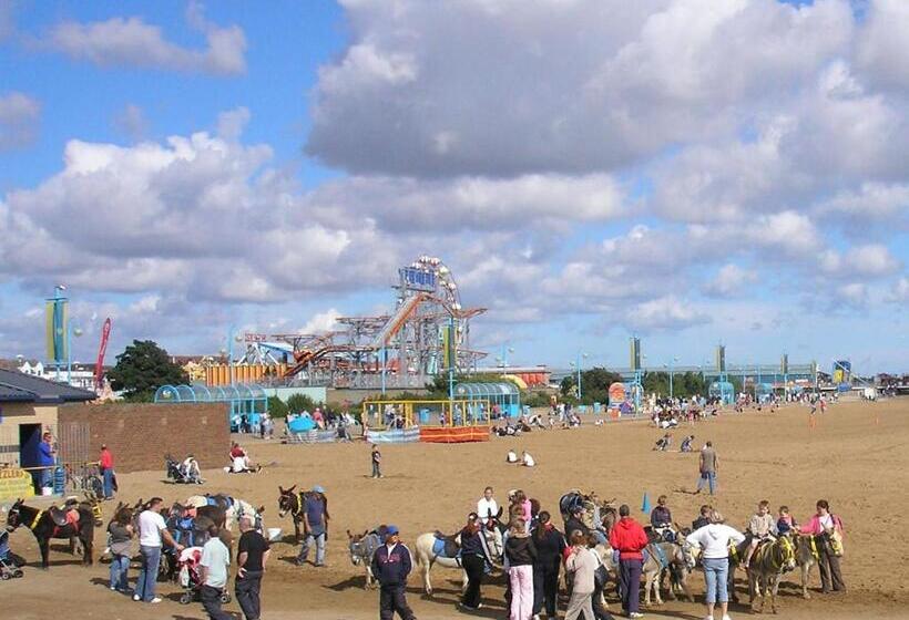 بنسيون The Aldor