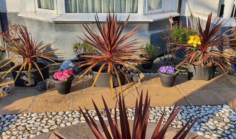 بنسيون The Aldor